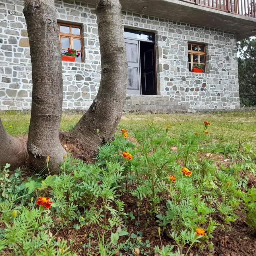 Hotel Grabova Grabove e Siperme Екстериор снимка